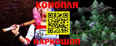 мяу мяу мука Татарск