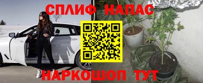 мяу мяу мука Татарск