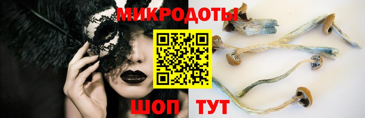 Нижнеудинск  Псилоцибиновые грибы GOLDEN TEACHER  Галлюциногенные грибы Psilocybine cubensis  Вход с VPN 